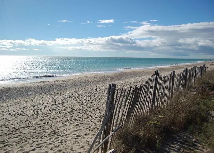 Studio 1 Ere Ligne Port Camargue Avec Piscine